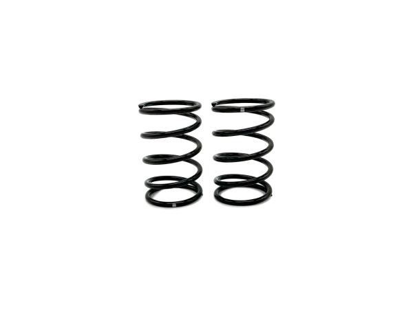 SWORKz GT Black Competition Feder Stoßdämpfer A1 (40x2.2x5.5)(GN)(2)
